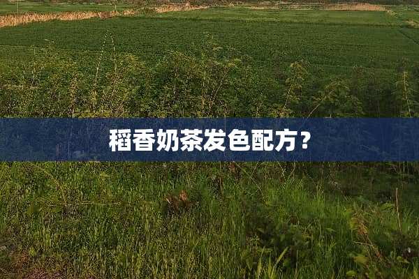 稻香奶茶发色配方？