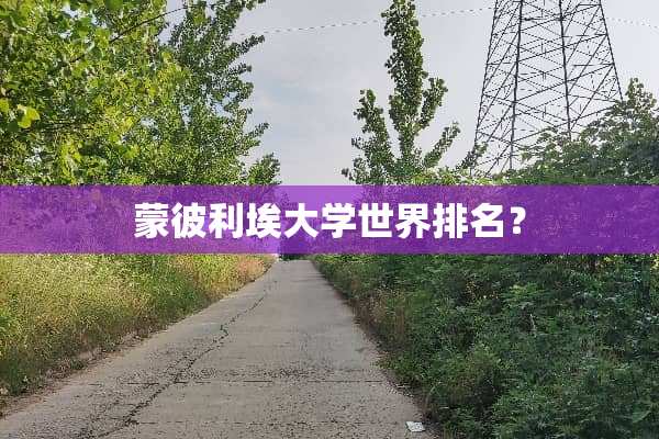 蒙彼利埃大学世界排名？
