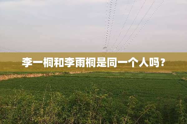 李一桐和李雨桐是同一个人吗？