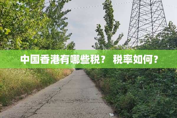中国香港有哪些税？ 税率如何？