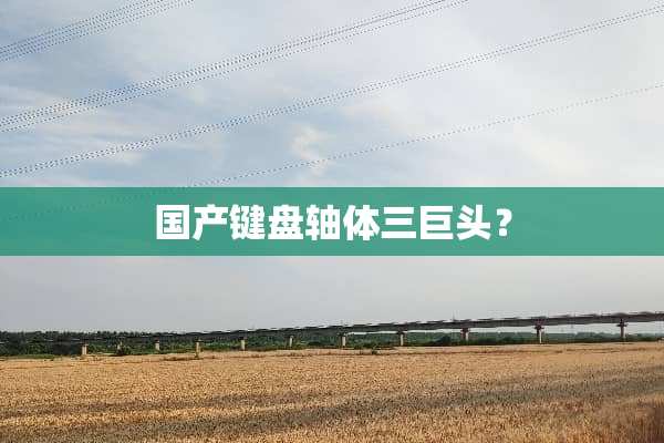 国产键盘轴体三巨头？