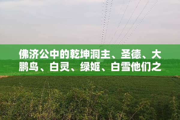佛济公中的乾坤洞主、圣德、大鹏鸟、白灵、绿姬、白雪他们之间的关系是什么？