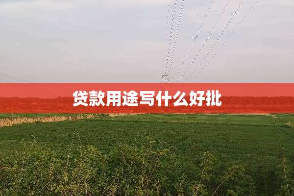 贷款用途写什么好批