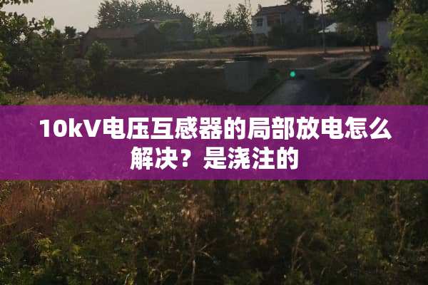 10kV电压互感器的局部放电怎么解决？是浇注的