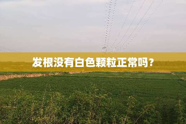 发根没有白色颗粒正常吗？