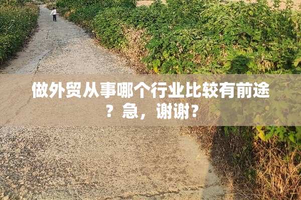 做外贸从事哪个行业比较有前途？急，谢谢？