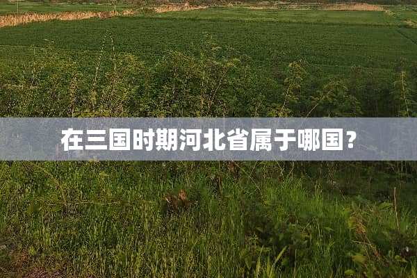 在三国时期河北省属于哪国？