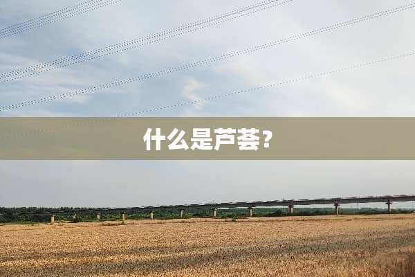 什么是芦荟？