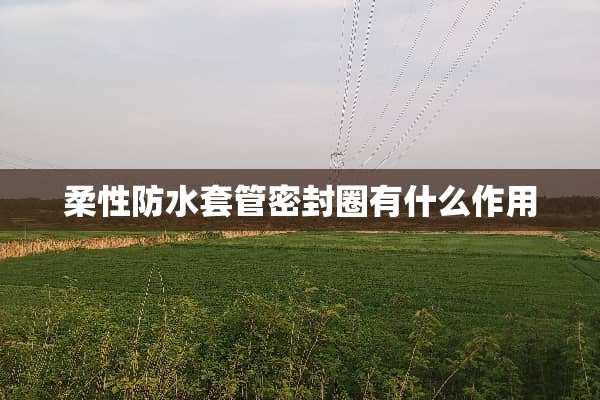 柔性防水套管密封圈有什么作用