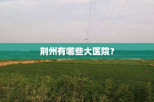 荆州有哪些大医院？