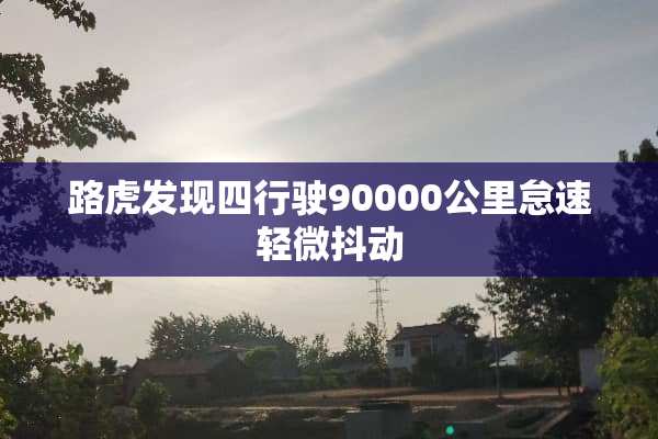 路虎发现四行驶90000公里怠速轻微抖动