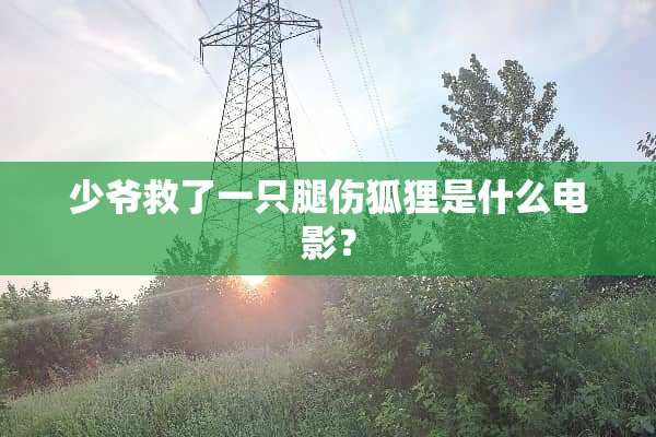 少爷救了一只腿伤狐狸是什么电影？