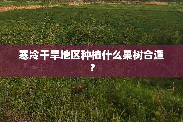 寒冷干旱地区种植什么果树合适？