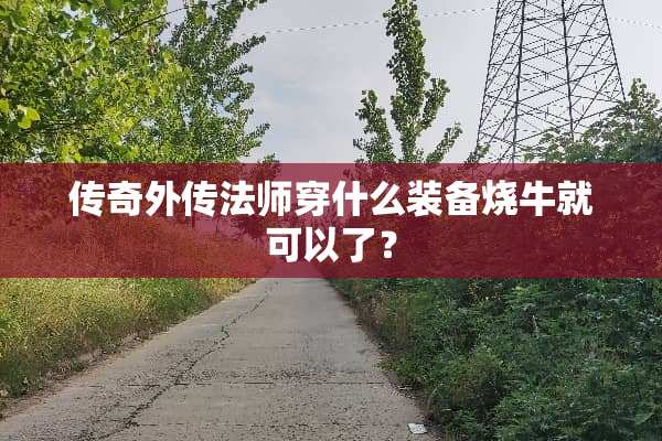 传奇外传法师穿什么装备烧牛就可以了？