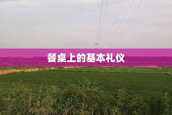 餐桌上的基本礼仪