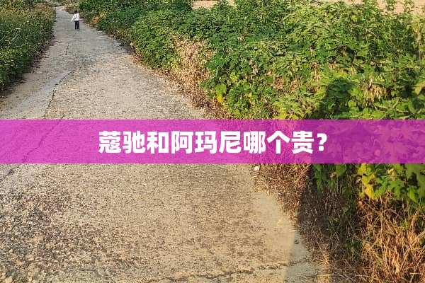 蔻驰和阿玛尼哪个贵？
