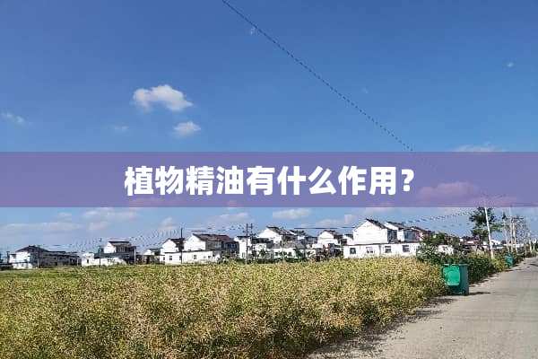 植物精油有什么作用？