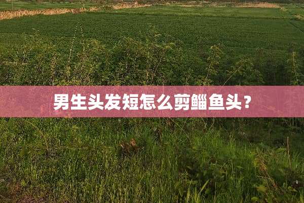 男生头发短怎么剪鲻鱼头？