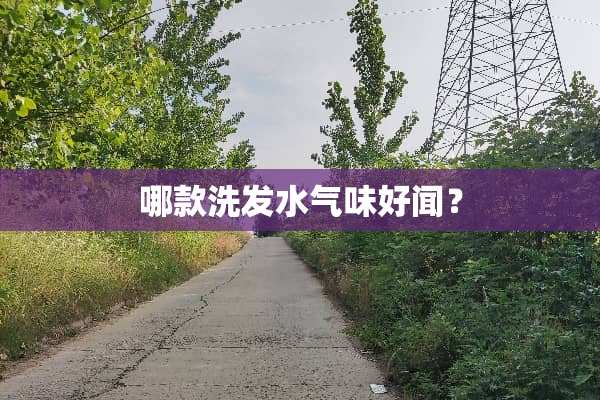 哪款洗发水气味好闻？