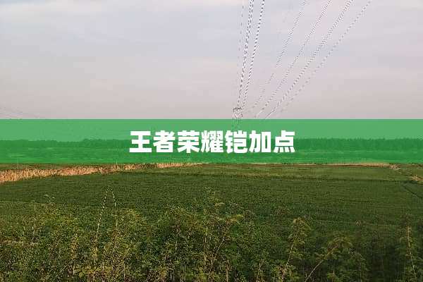 王者荣耀铠加点