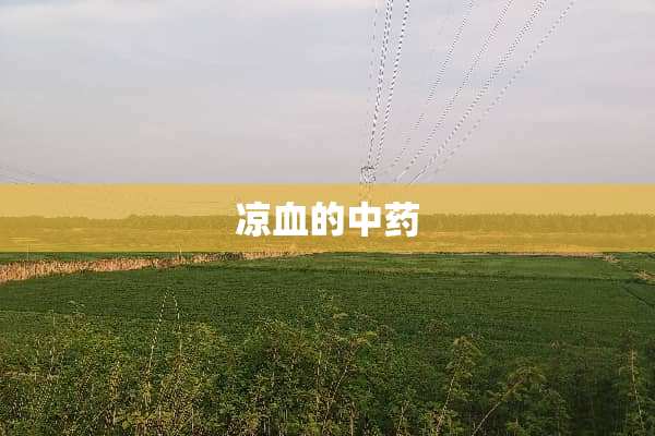凉血的中药