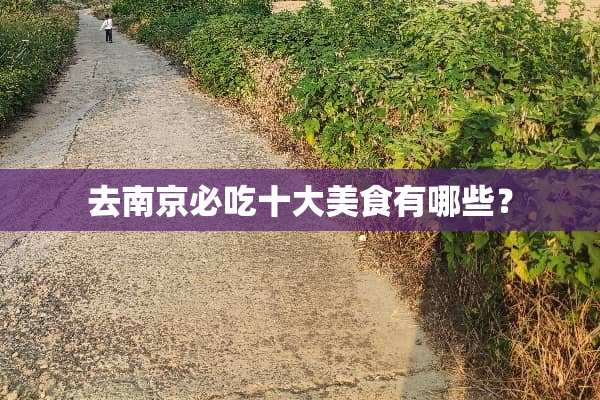 去南京必吃十大美食有哪些？