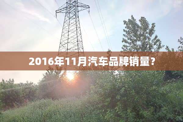 2016年11月汽车品牌销量？