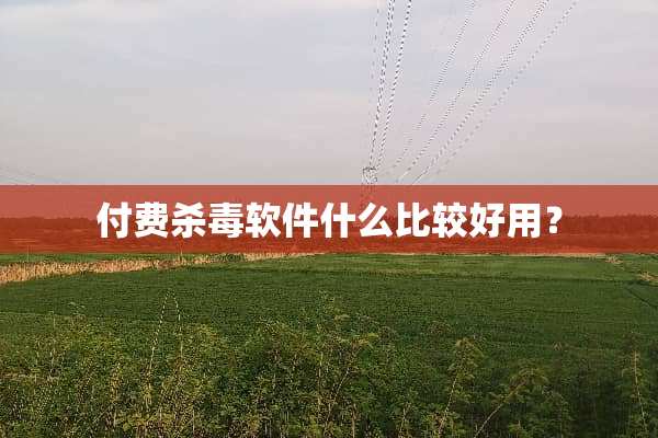 付费杀毒软件什么比较好用？