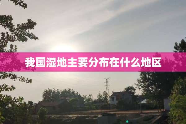 我国湿地主要分布在什么地区