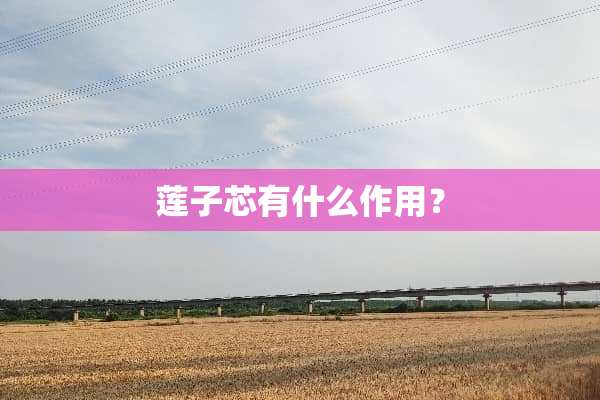 莲子芯有什么作用？