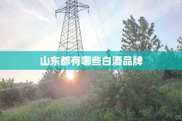 山东都有哪些白酒品牌