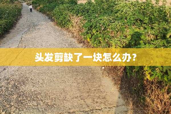 头发剪缺了一块怎么办？