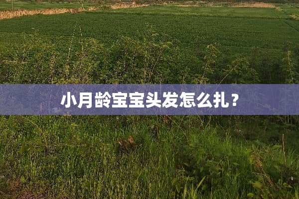 小月龄宝宝头发怎么扎？