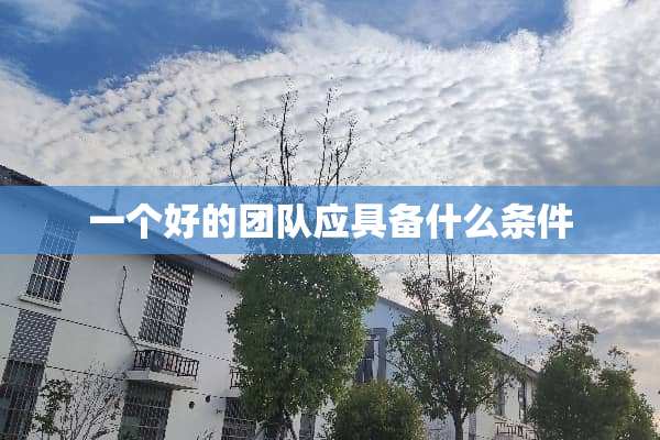 一个好的团队应具备什么条件