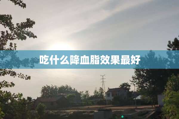 吃什么降血脂效果最好