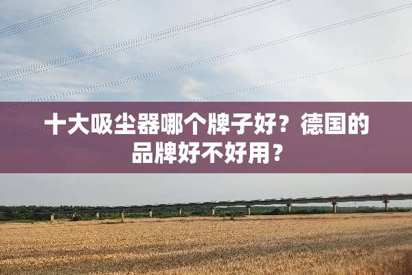十大吸尘器哪个牌子好？德国的品牌好不好用？