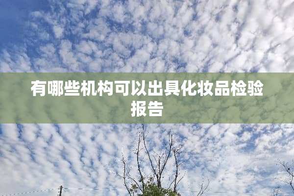 有哪些机构可以出具化妆品检验报告