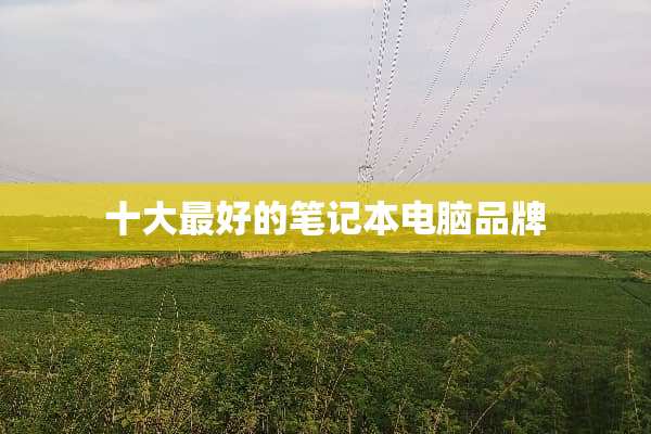 十大最好的笔记本电脑品牌