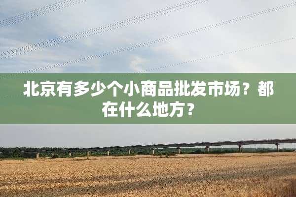 北京有多少个小商品批发市场？都在什么地方？