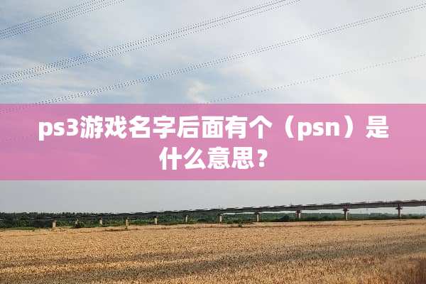 ps3游戏名字后面有个（psn）是什么意思？