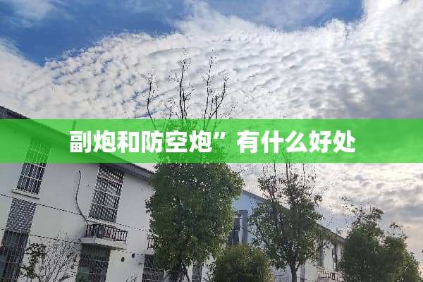 副*和防空*”有什么好处