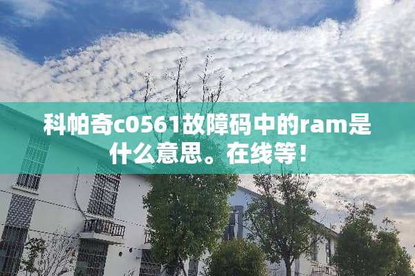 科帕奇c0561故障码中的ram是什么意思。在线等！