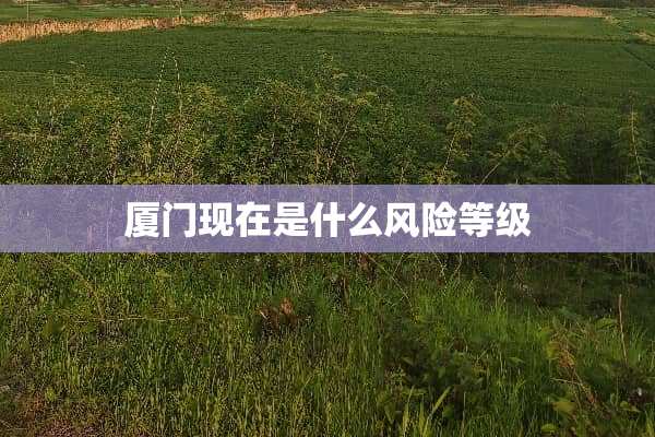 厦门现在是什么风险等级