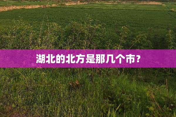湖北的北方是那几个市？