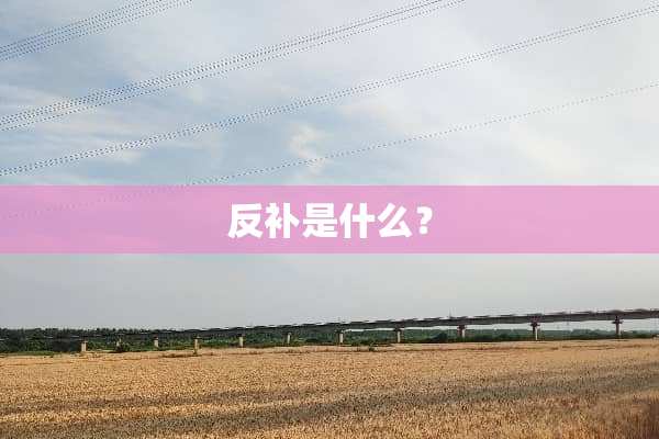 反补是什么？