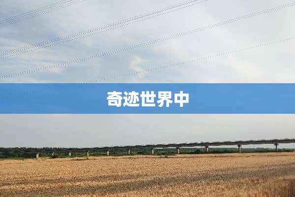 奇迹世界中