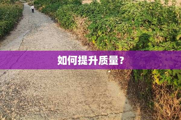 如何提升质量？