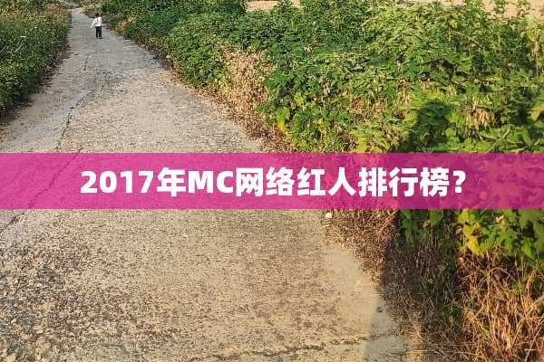 2017年MC网络红人排行榜？