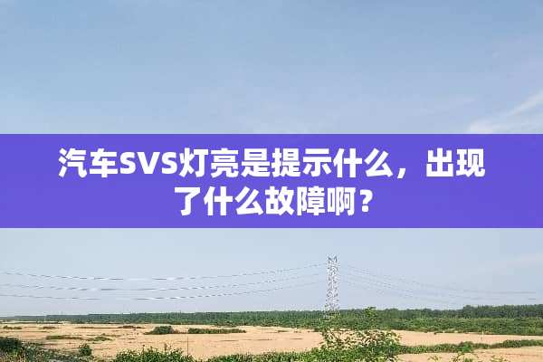 汽车SVS灯亮是提示什么，出现了什么故障啊？