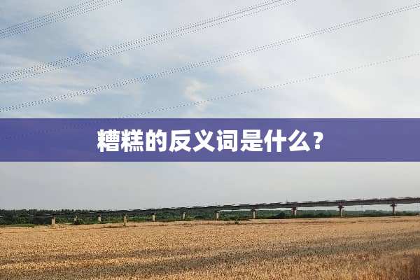 糟糕的反义词是什么？